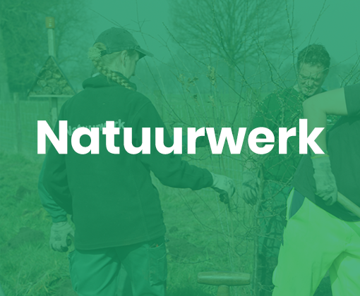In goede handen: Natuurwerk maakt de domeinen van Kempens Landschap klaar voor Open Monumentendag