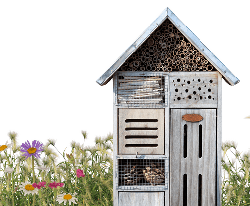 Een bijenhotel is geen biodiversiteitsmaatregel op zichzelf